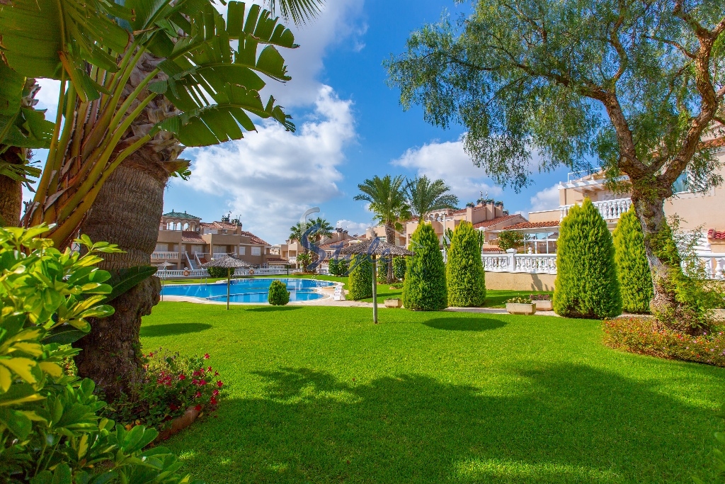 Resale - Apartment - Playa Flamenca - Zeniamar