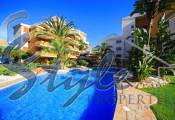 Resale - Penthouse - Punta Prima - La Entrada