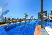 Alquiler corta estancia - Apartamento - Punta Prima - Sea Senses