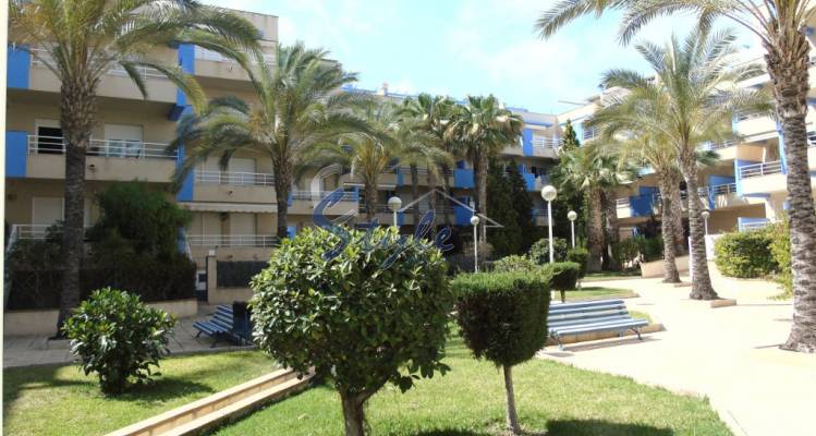 Reventa - Apartamento - Cabo Roig