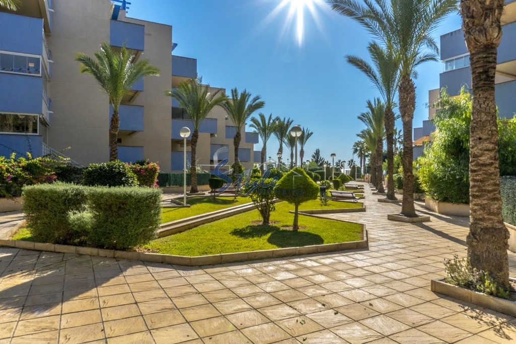 Resale - Apartment - Cabo Roig