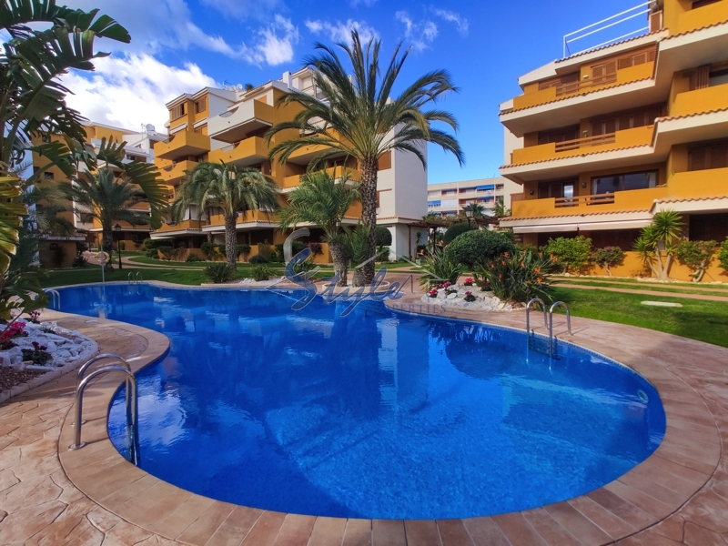 Rent apartment in la Entrada, Punta Prima, Torrevieja, Costa Blanca