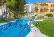 Reventa - Apartamento - Campoamor