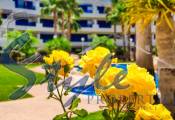 Reventa - Apartamento - Playa Flamenca