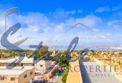 Commercial - Commercial Property - Los Balcones, Torrevieja - Los Balcones