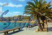 Nuevo - Apartamento - Torrevieja  - Torrevieja