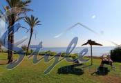 Buy apartment close to the sea in Torrevieja, Costa Blanca, 200 meters from the “La Veleta” beach. ID: 4023