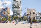 Nuevo - Apartamento - Benidorm