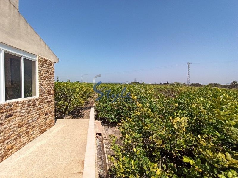 Resale - Country House - San Miguel De Salinas