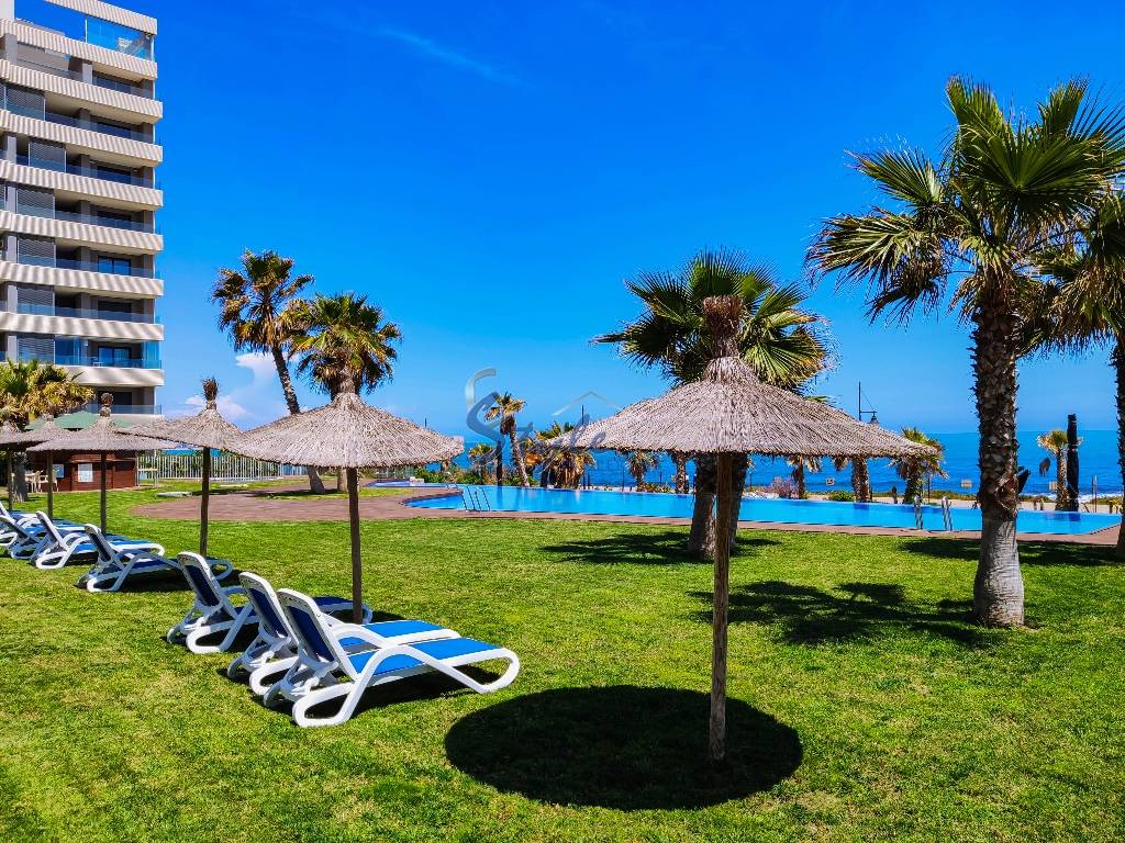 New build - Apartment - Torrevieja