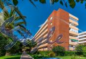 Comprar apartamento cerca del mar en Punta Prima, Orihuela Costa, Costa Blanca. ID 4251