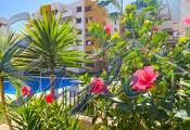 Alquiler corta estancia - Apartamento - Punta Prima - La Recoleta