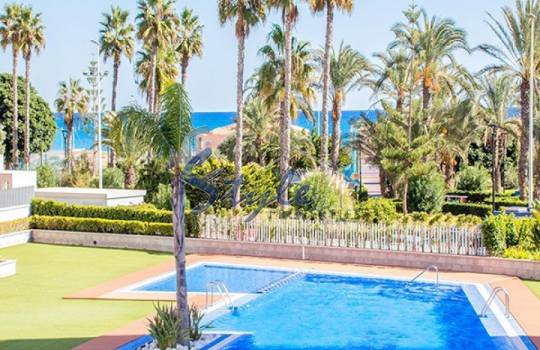 Apartment - Resale - La Mata - La Mata