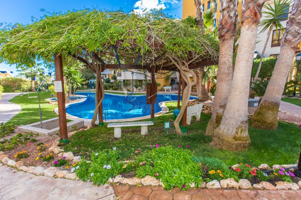 For rent 1 bedroom apartment near the sea Punta Prima, Costa Blanca, Spain. ID097