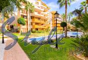 For sale apartment in La Recoleta, Punta Prima, Torrevieja,Costa Blanca, Spain: ID2282