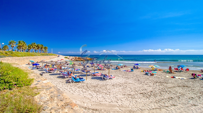 Reventa - Adosado - Playa Flamenca