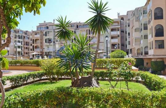 Apartamento - Reventa - Torrevieja  - Torrevieja