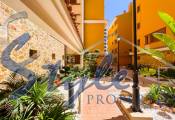 Reventa - Apartamento - Punta Prima - La Recoleta