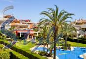 Alquiler corta estancia - Apartamento - Playa Flamenca - Zeniamar