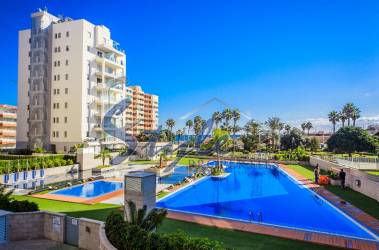 Apartment - Resale - La Mata - La Mata