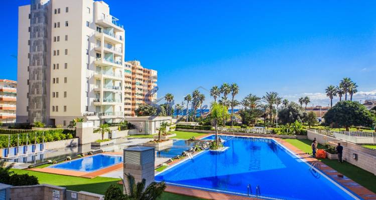 Resale - Apartment - La Mata