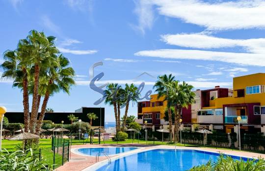 Apartamento - Reventa - Playa Flamenca - Playa Flamenca