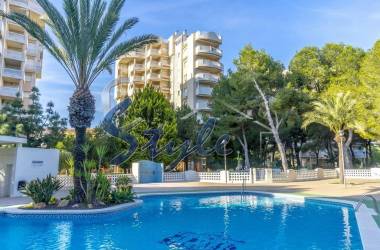 Apartamento - Reventa - Campoamor - Campoamor